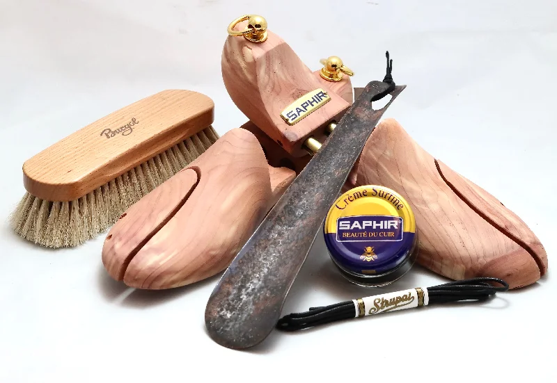 Shoe care kit